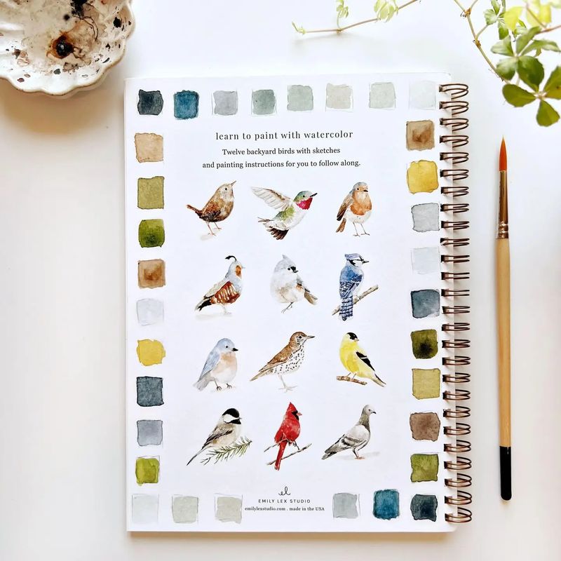 Watercolor Workbook Birds