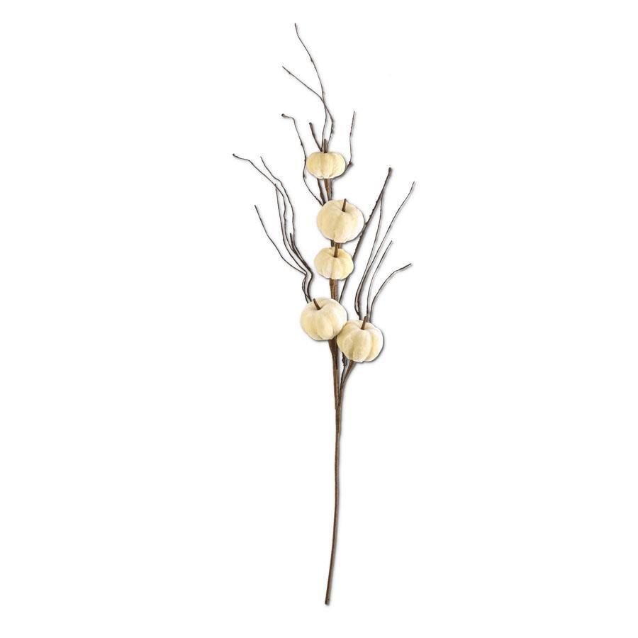 38" Cream Pumpkin Stem