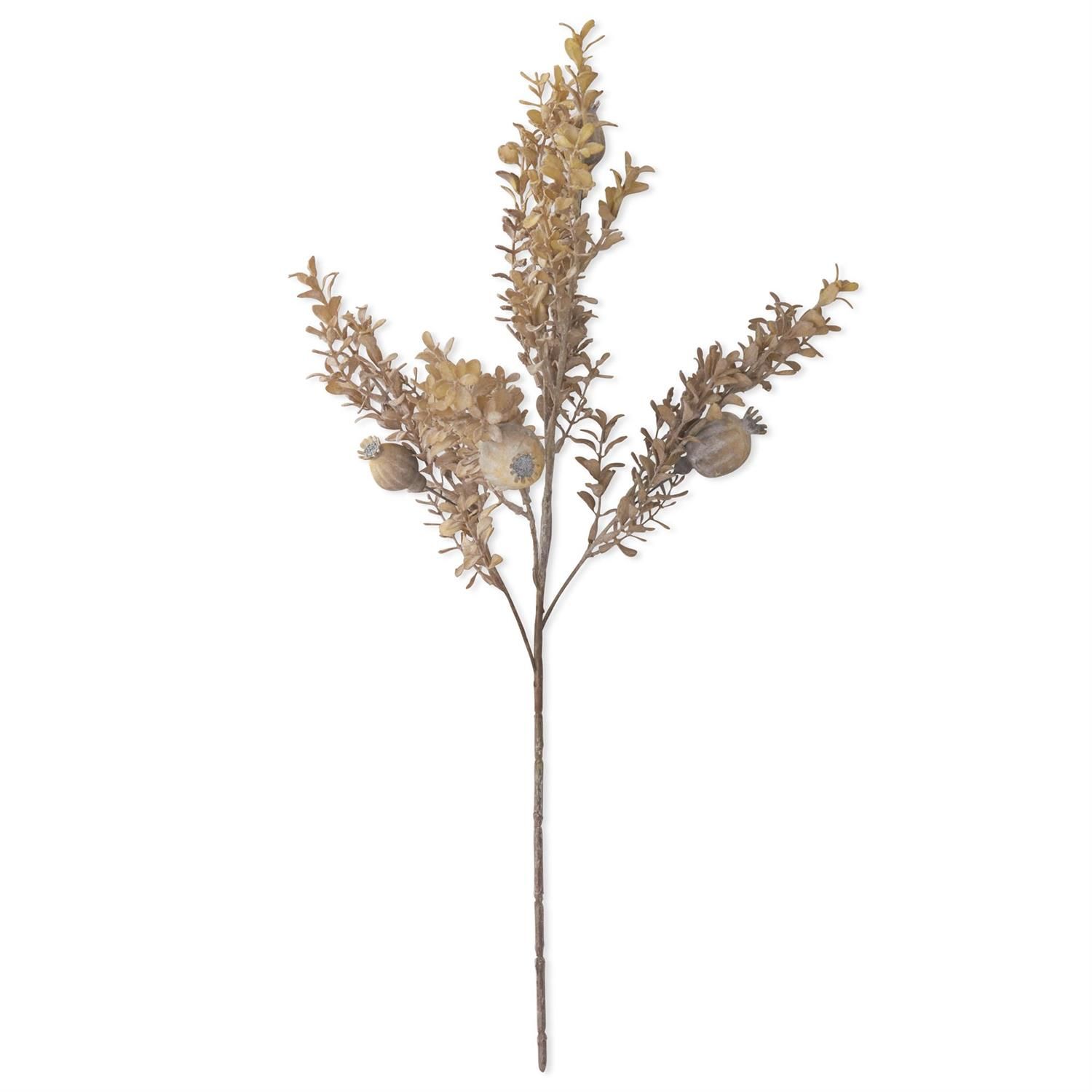 26" Gray Poppy Pod &amp; Foliage