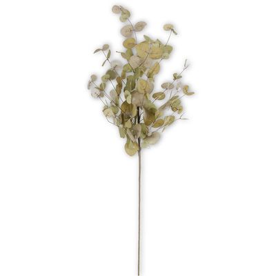 36" Green Two-tone Eucalyptus