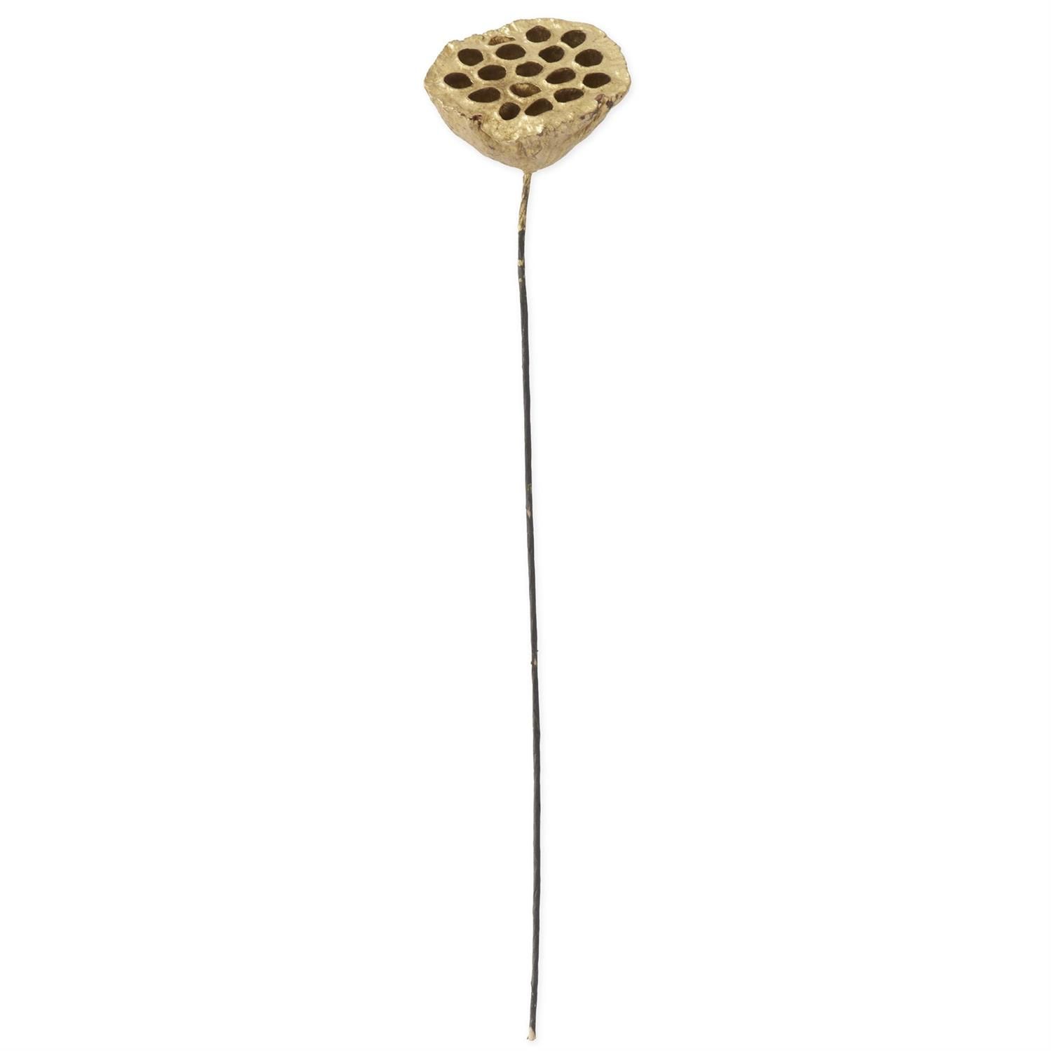 21" Gold Lotus Seedpod