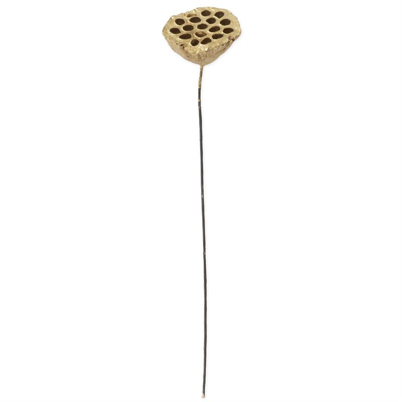 21" Gold Lotus Seedpod