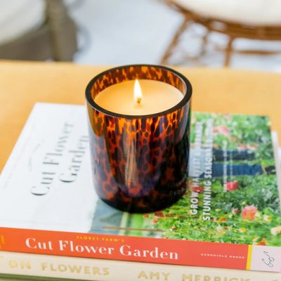 Sweet Grace Tortoise Candle #064