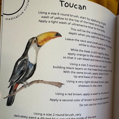Birds Watercolor Book
