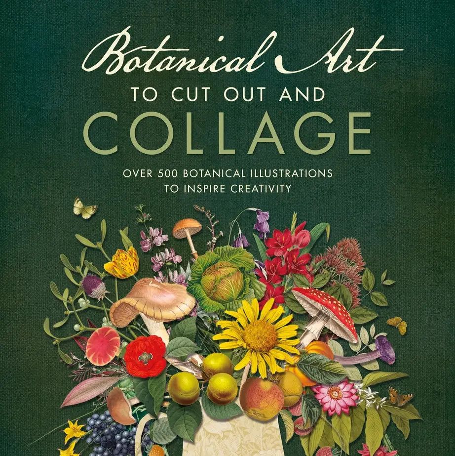 Botanical Art To Cut Out and Collage