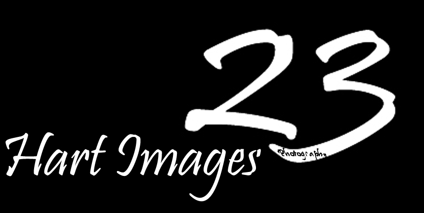 Hart Images 23 8GB Flash Drive