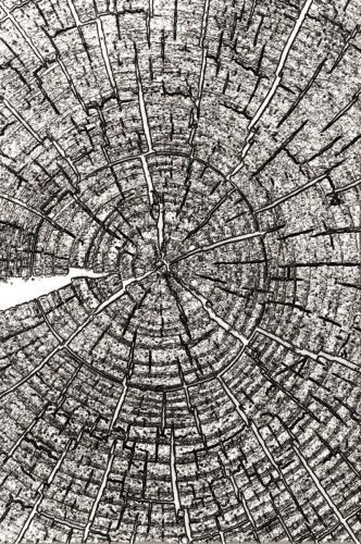 Tree Rings - 3D Texture Fades Embossing Folder