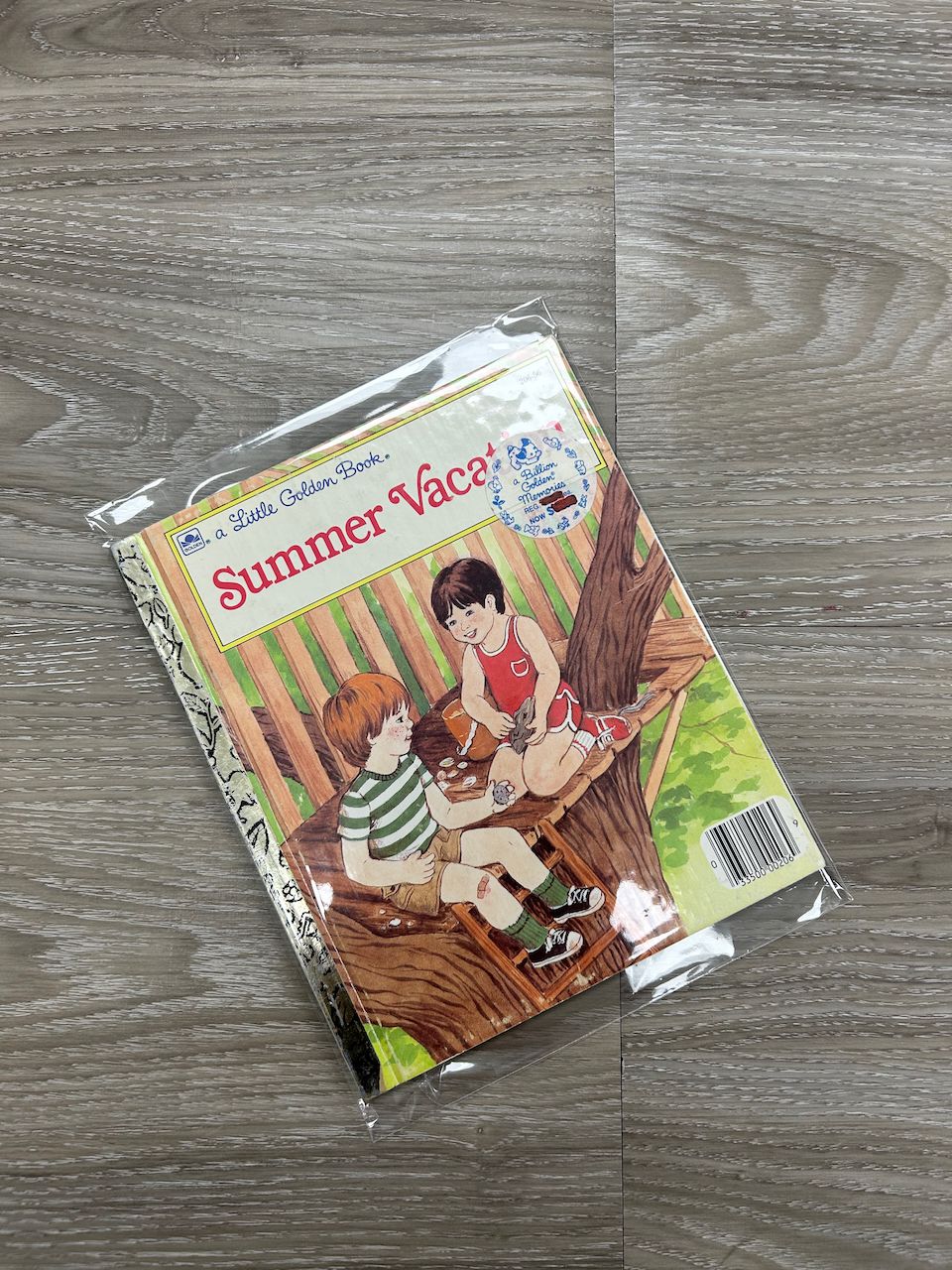 Summer Vacation - Vintage Little Golden Book