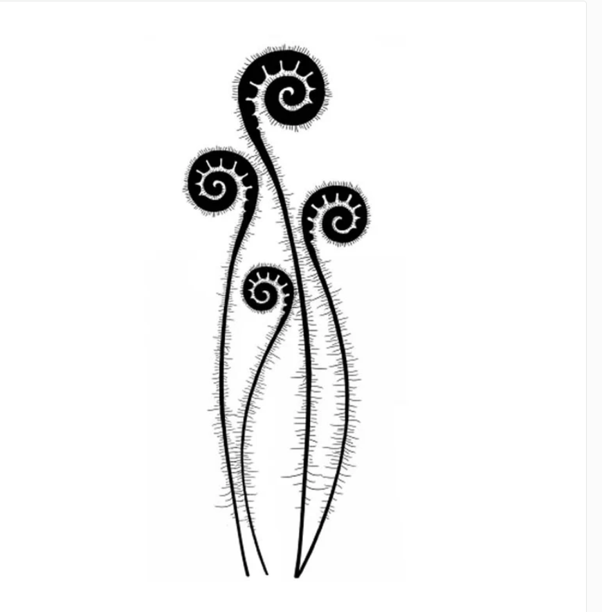 Fern Heads - Stamp