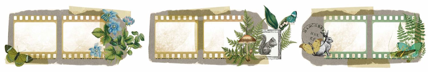Filmstrip Kiss-Cut PET Tape - Hidden Creek Collection
