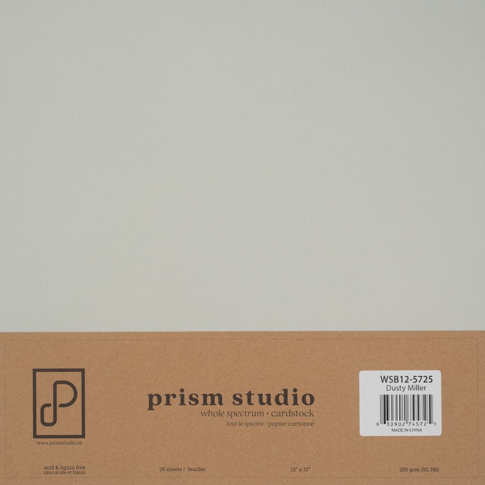 Dusty Miller - 12x12 Whole Spectrum Smooth Cardstock