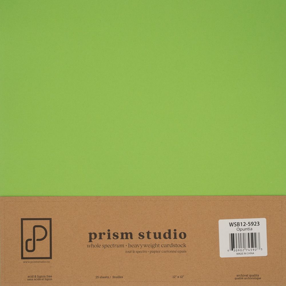 Opuntia - 12x12 Whole Spectrum Smooth Cardstock