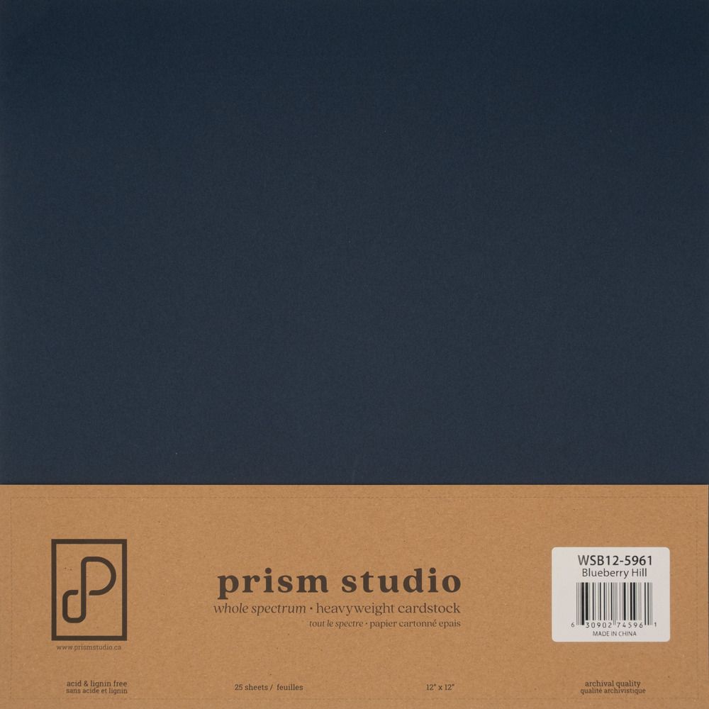 Blueberry Hill - 12x12 Whole Spectrum Smooth Cardstock