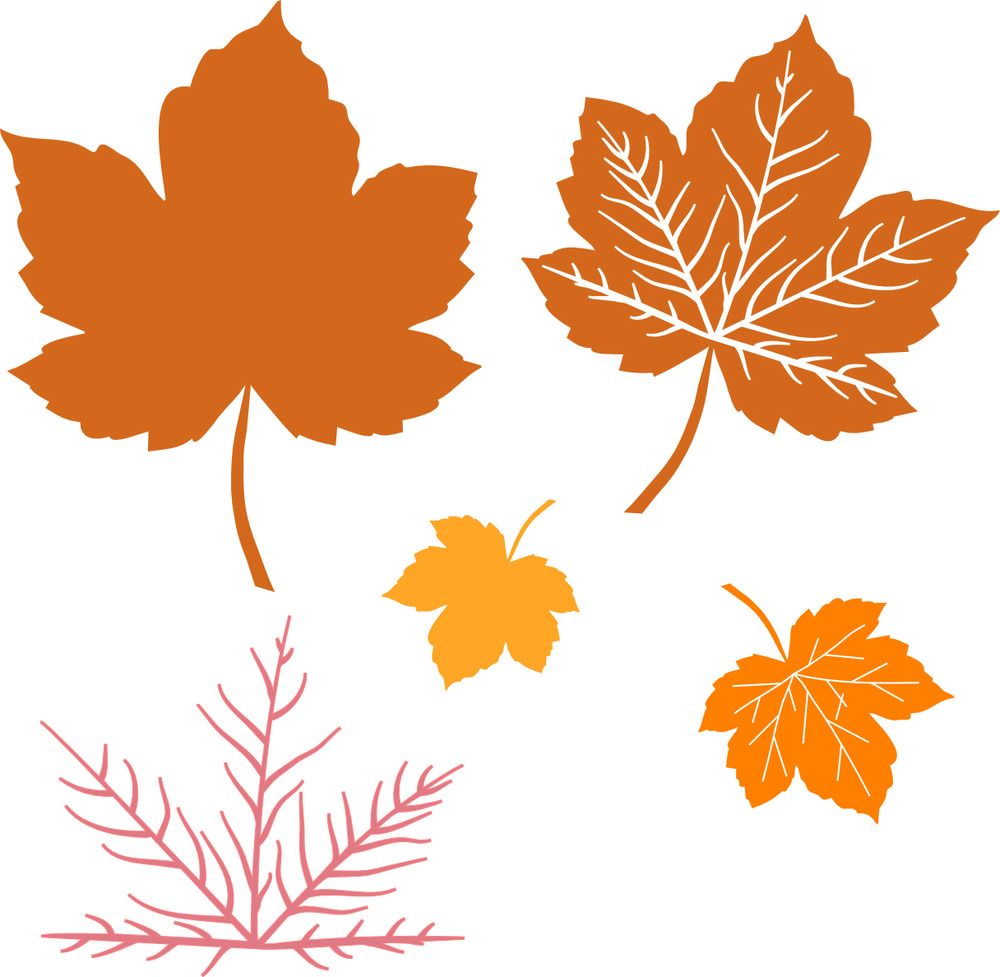 Maple Leaves - Die Set