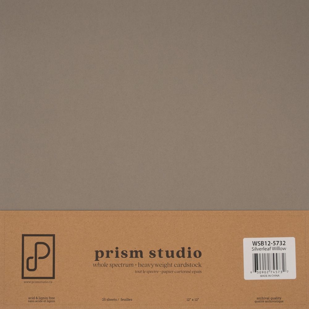 Silverleaf Willow - 12x12 Whole Spectrum Smooth Cardstock