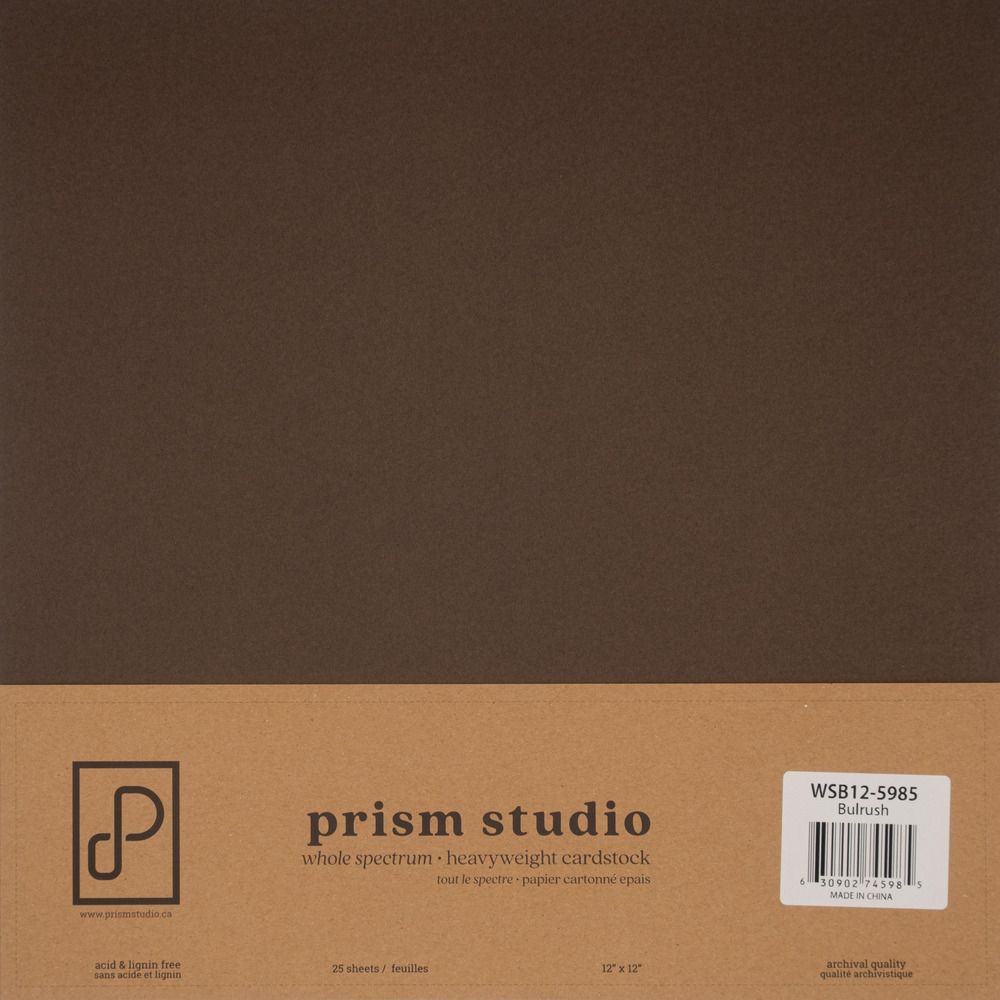 Bulrush - 12x12 Whole Spectrum Smooth Cardstock