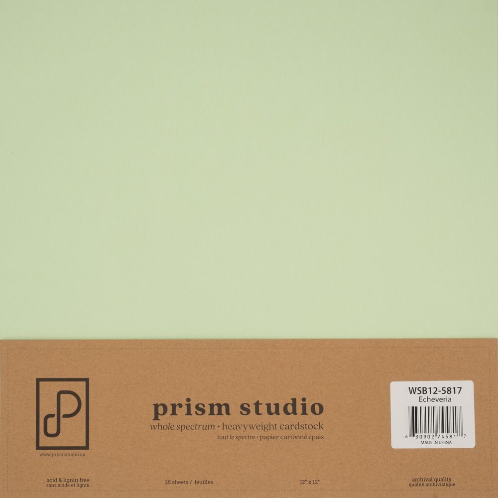 Echeveria - 12x12 Whole Spectrum Smooth Cardstock