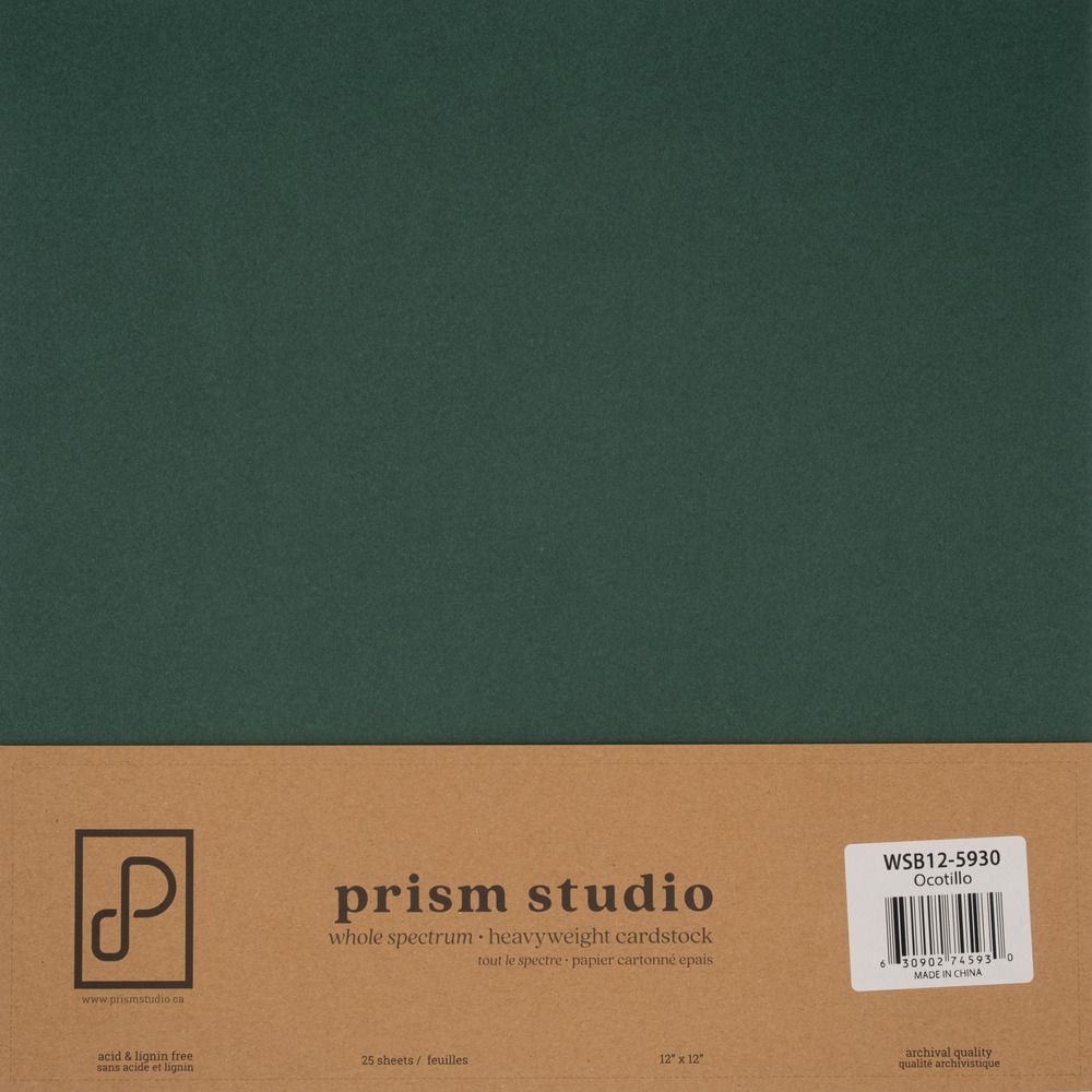 Ocotillo - 12x12 Whole Spectrum Smooth Cardstock