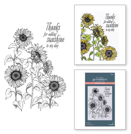 Sunflower Field - BetterPress Press Plate