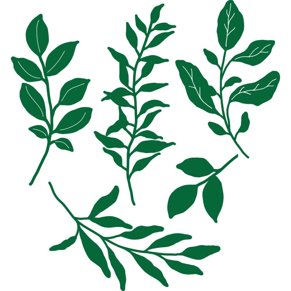 Essential Greenery - Die Set