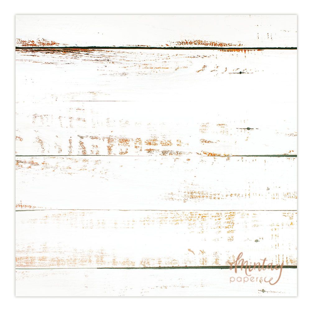 02 - Craft Photo Backdrop