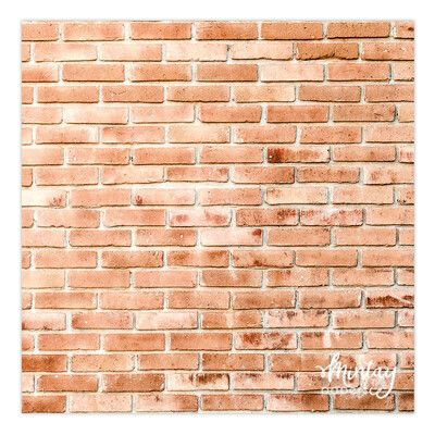 08 - Craft Photo Backdrop