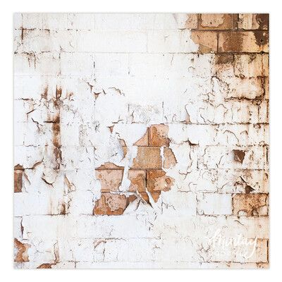 14 - Craft Photo Backdrop