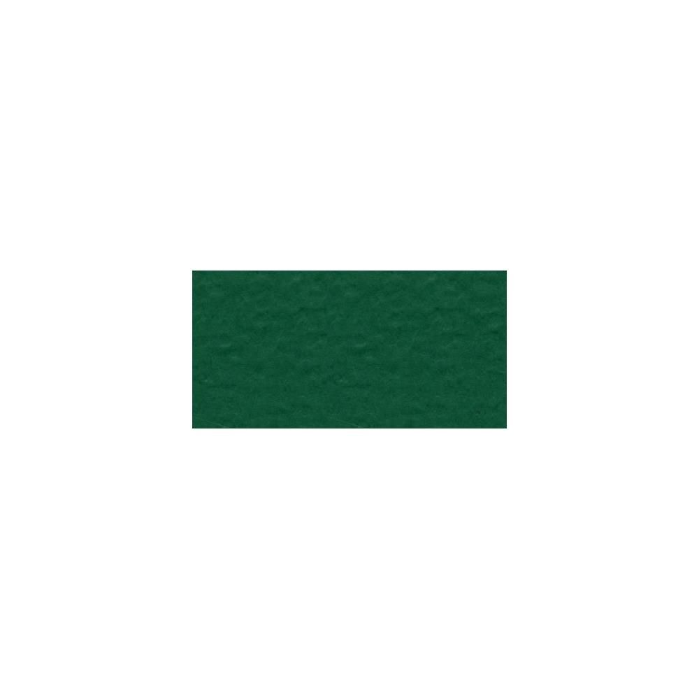 Classic Green - 12x12 - Bazzill Mono Textured Cardstock