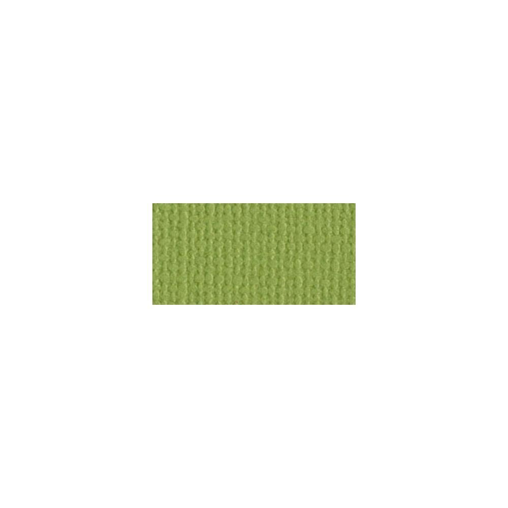 Parakeet - 12x12 - Bazzill Mono Textured Cardstock