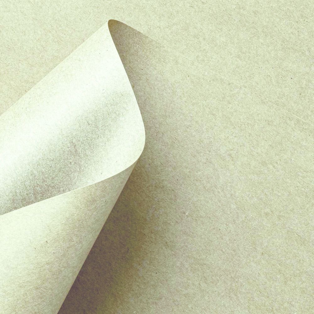 Ivory - 30x30cm Cardstock