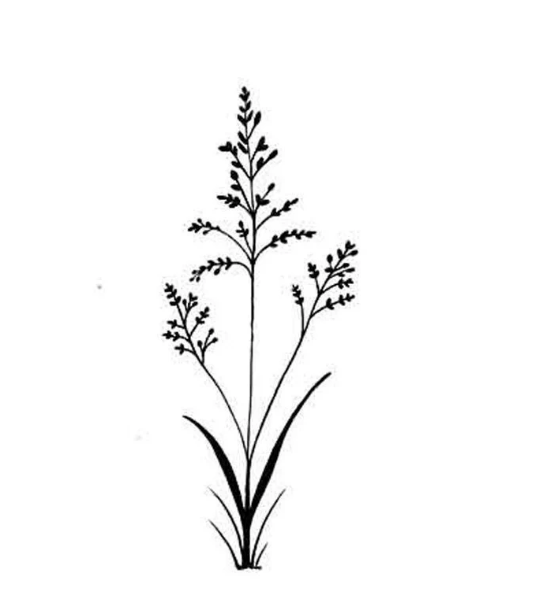Field Grass - Stamp