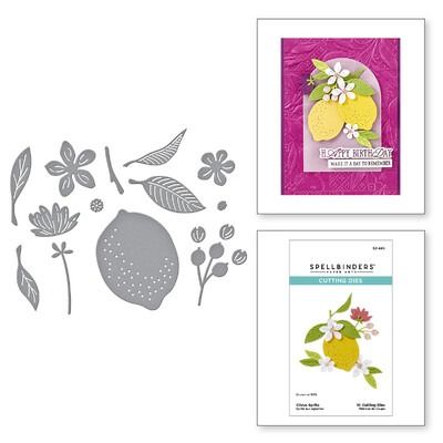 Citrus Spritz - Die Set
