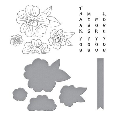 Blossoms &amp; Sentiments - BetterPress Plate &amp; Die Set