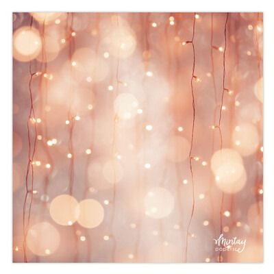 54 - Craft Photo Backdrop