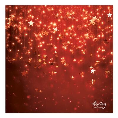 53 - Craft Photo Backdrop