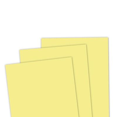 Potato Chip - 8.5x11 Premium Cardstock