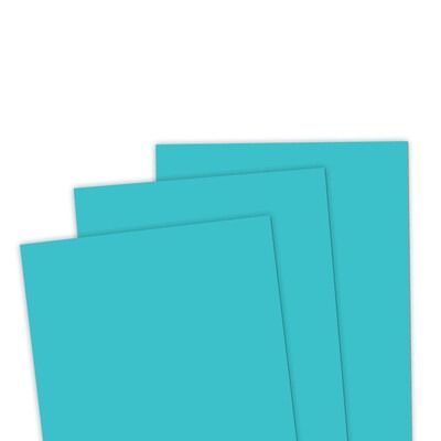 Cookie Monster - 8.5x11 Premium Cardstock