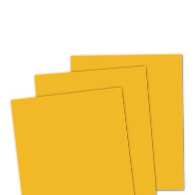 Sweet Corn - 8.5x11 Premium Cardstock