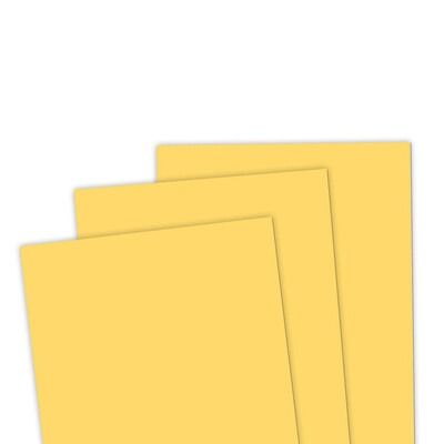 Pineapple - 8.5x11 Premium Cardstock