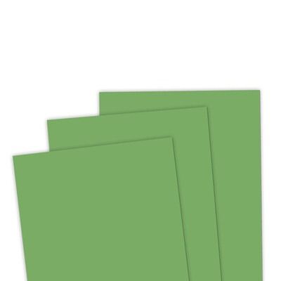 Dill Pickle - 8.5x11 Premium Cardstock