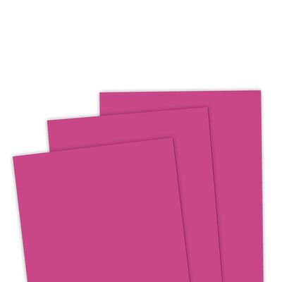 Dragon Fruit - 8.5x11 Premium Cardstock