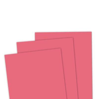 Guava - 8.5x11 Premium Cardstock