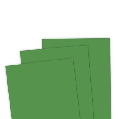 Cilantro - 8.5x11 Premium Cardstock
