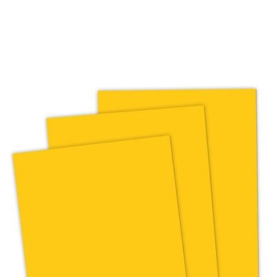 Mango - 8.5x11 Premium Cardstock