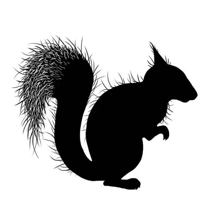 Red Squirrel - Clear Stamp