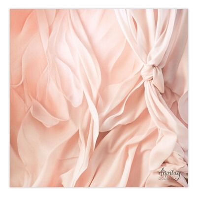 56 - Craft Photo Backdrop