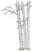 Birch Trees - Cling Stamp