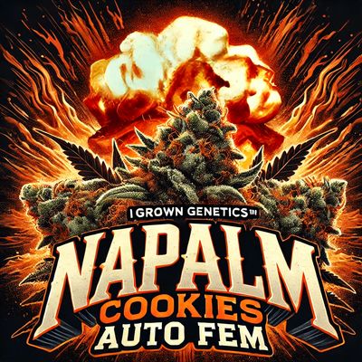 Nampalm Cookies Auto Fem