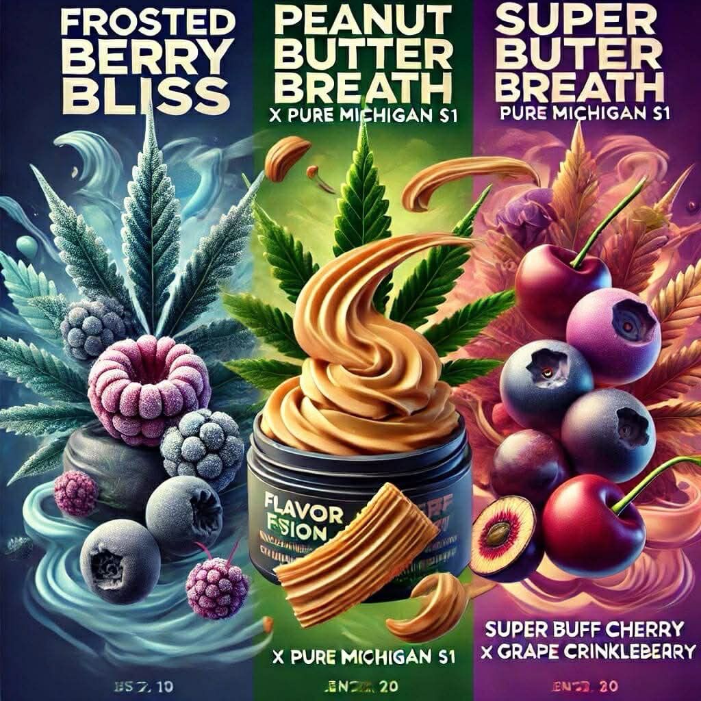 Flavor Fusion Bundle