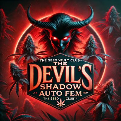 The Devil’s shadow S1